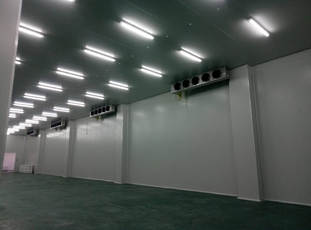 三甲醫(yī)院建造600m3藥品冷藏庫需要多少費用？