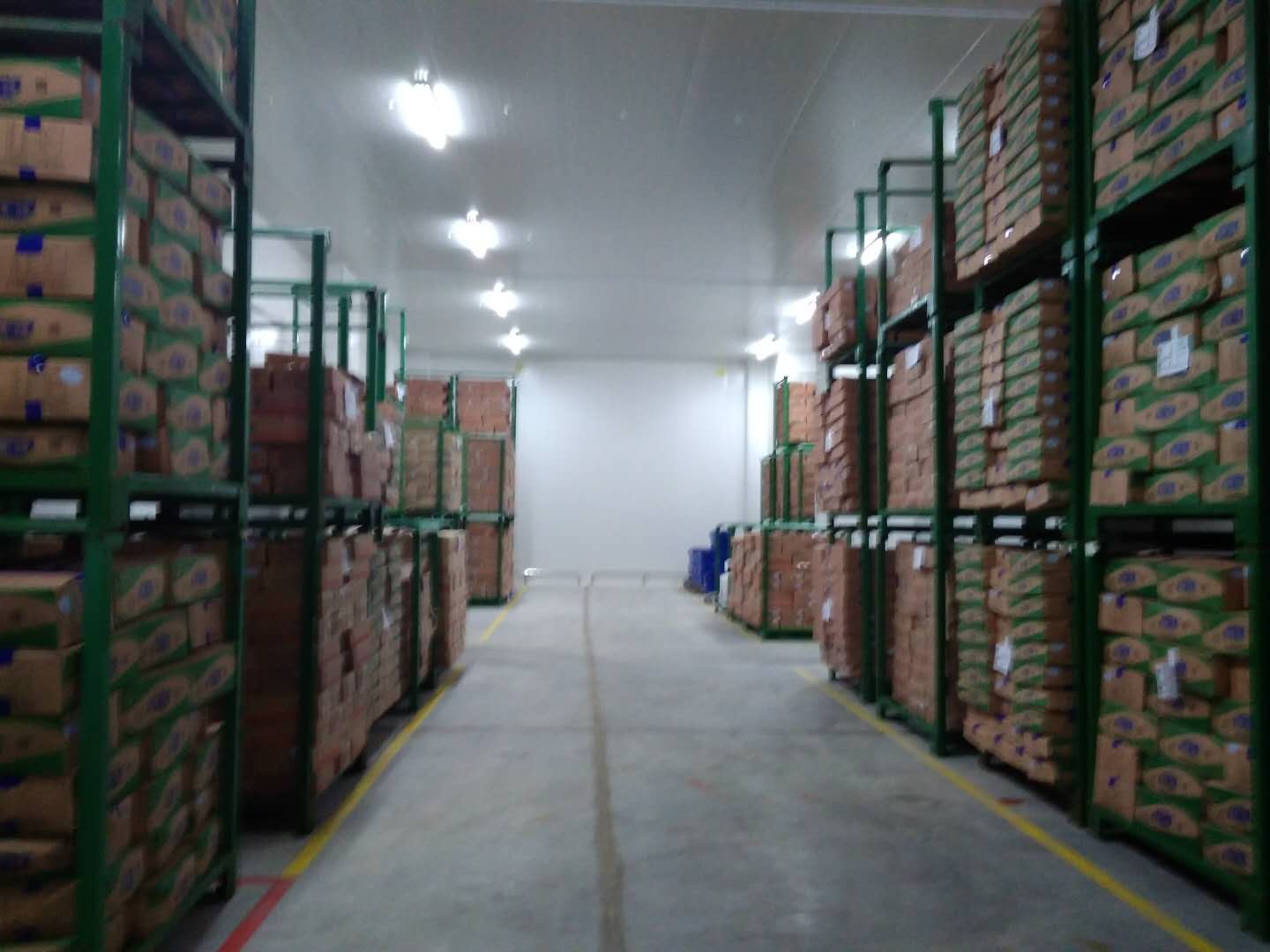建設8500㎡陰涼物流低溫倉庫安裝配置方案費用是多少？