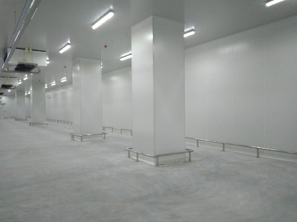 建造200噸的肉類冷鏈冷凍庫如何做好規(guī)劃設(shè)計(jì)？