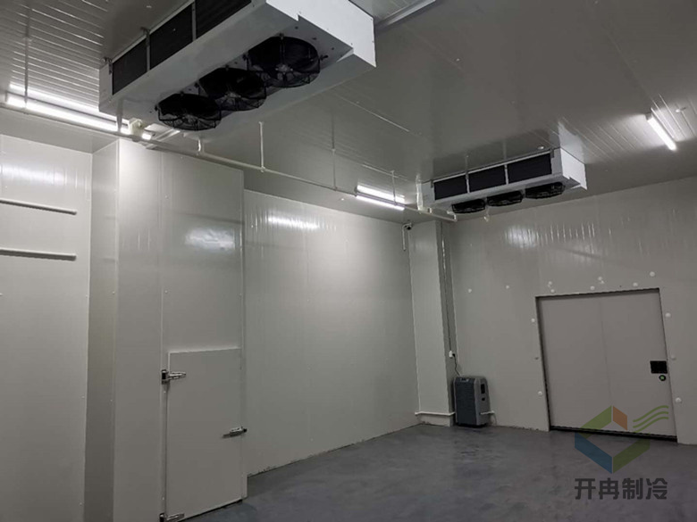  醫(yī)藥專業(yè)冷庫建設標準