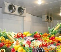 安裝一座冷庫存放蔬菜需要多少錢，造價多少