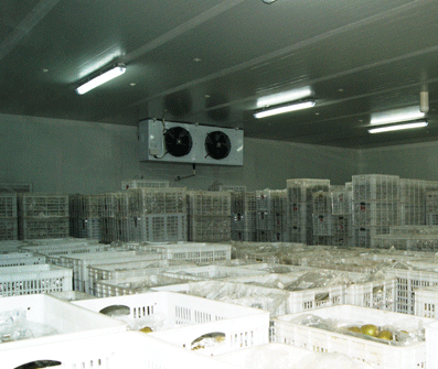 福建冷庫建造補貼標(biāo)準是多少