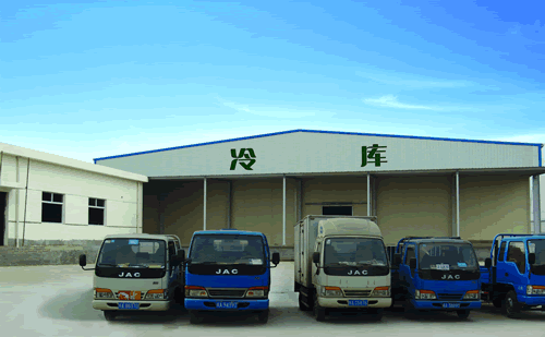 大型冷鏈物流冷藏車，果蔬冷庫安裝設計·