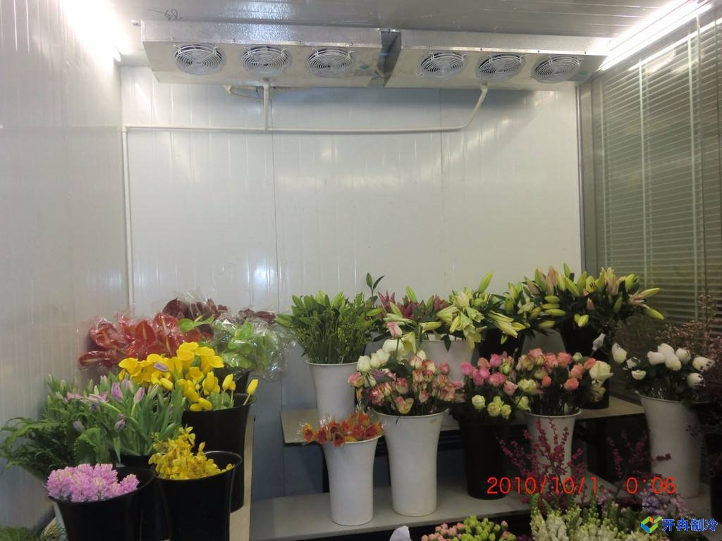 開(kāi)冉制冷為客戶(hù)建設(shè)的一個(gè)800平鮮花保鮮冷庫(kù)案例
