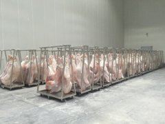 做一個(gè)牛肉冷庫造價(jià)表，生鮮冷藏庫價(jià)格