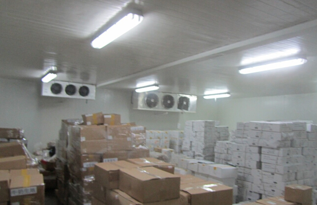-18~-25℃冷凍榴蓮肉冷庫設(shè)備,冷庫造價及耗電量多少/天