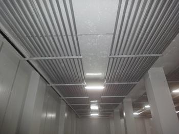-35℃速凍榴蓮冷庫造價，榴蓮冷庫冷凍設(shè)備