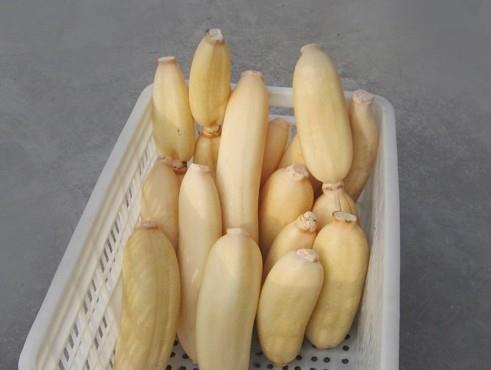 建造蓮藕冷藏庫(kù)多少錢一平，100噸的蓮藕要多大庫(kù)