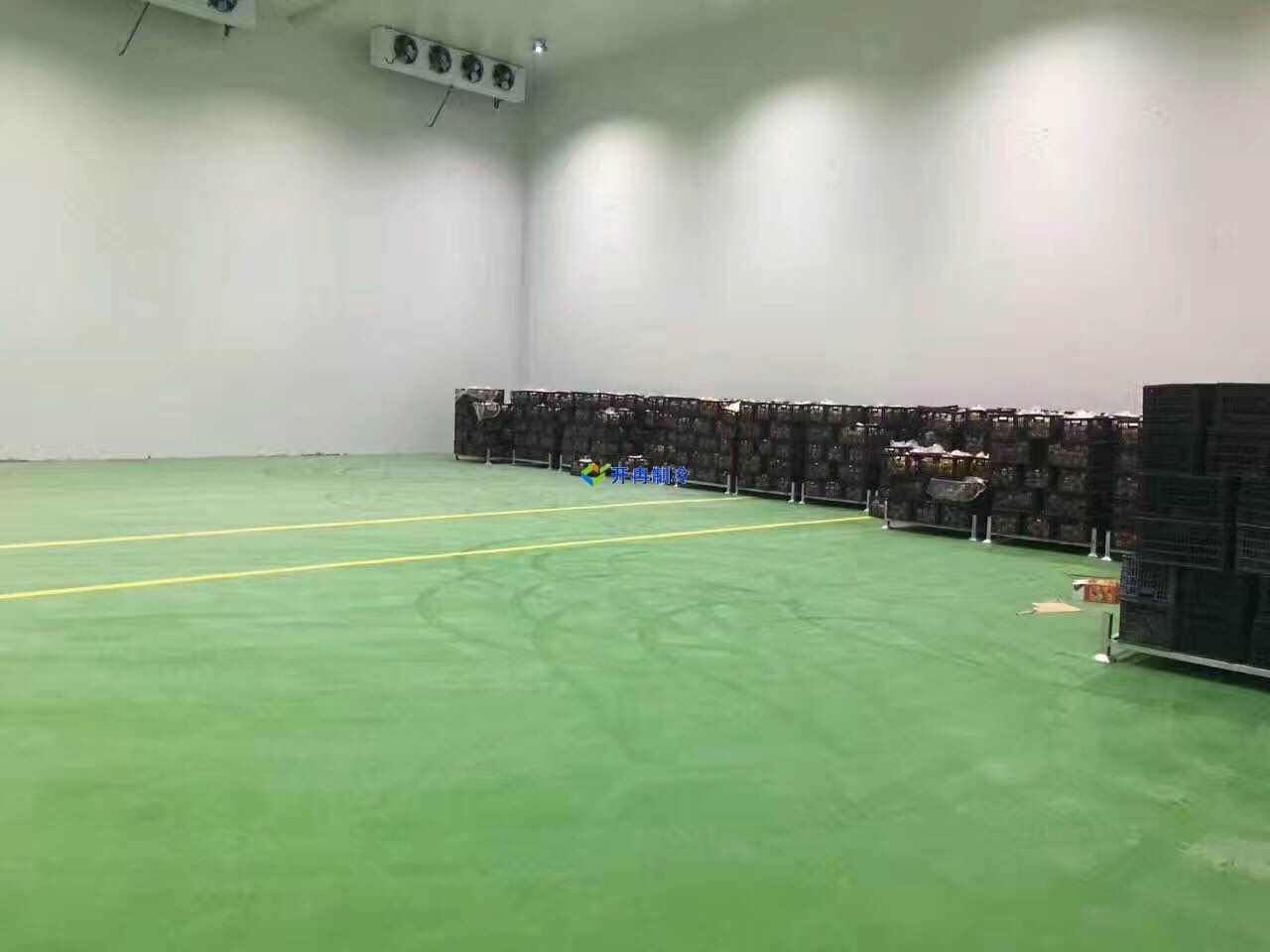 1000平蒜薹冷庫價格，蒜薹保鮮庫耗電量計算