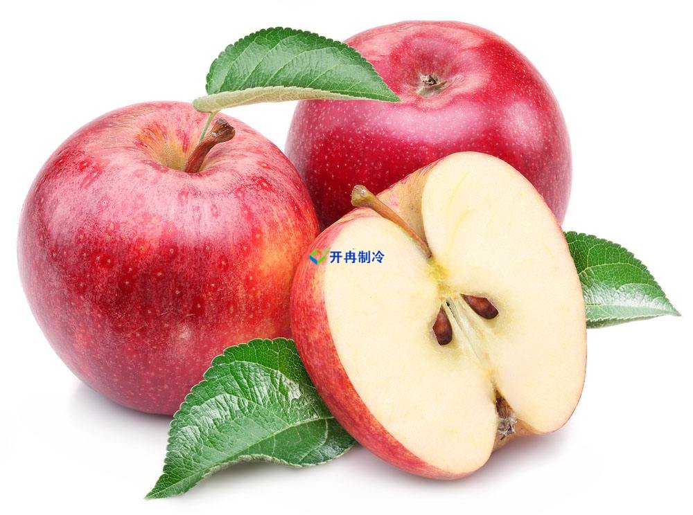 5000噸蘋果冷庫(kù)設(shè)備安裝造價(jià)多少錢