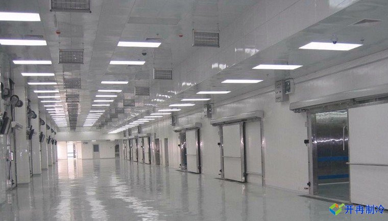 建造500噸帶魚低溫冷庫，海鮮冷凍庫報價
