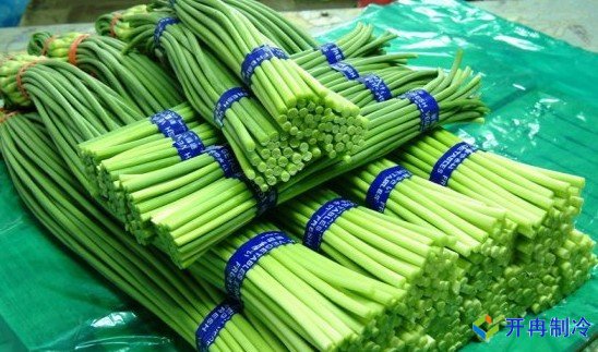 3000噸蒜薹冷庫(kù)前期規(guī)劃，冷庫(kù)造價(jià)預(yù)算多少錢