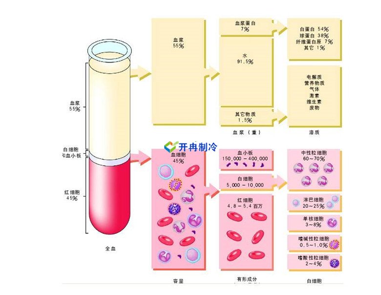 -30℃～-80℃血漿蛋白低溫冷凍庫(kù)規(guī)范，冷庫(kù)安裝價(jià)格