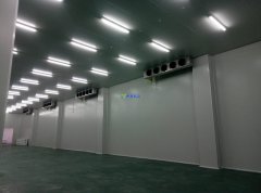 4600平米肉類冷藏庫造價費用是多少？